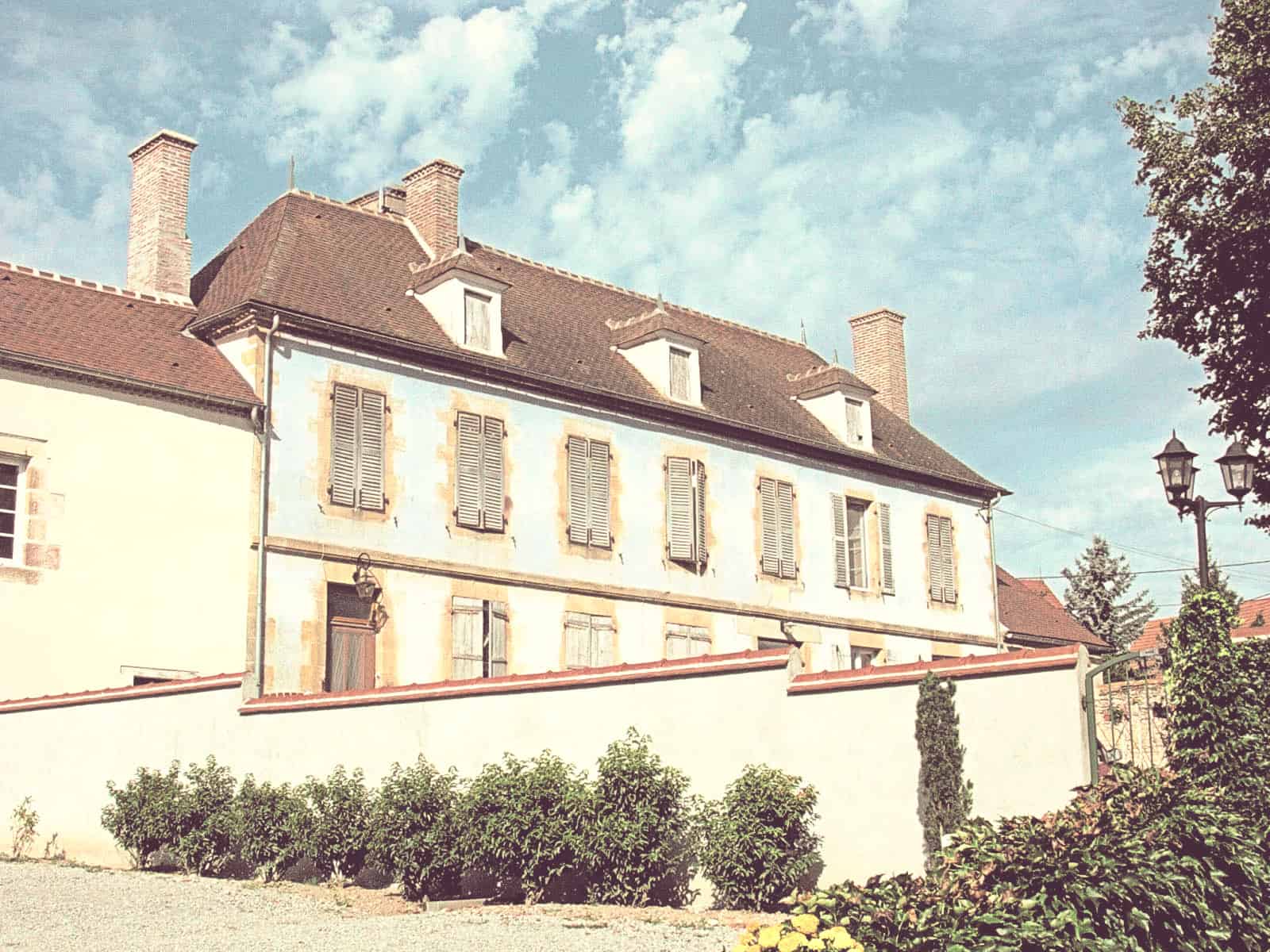 Conserver et servir nos vins : le guide pratique