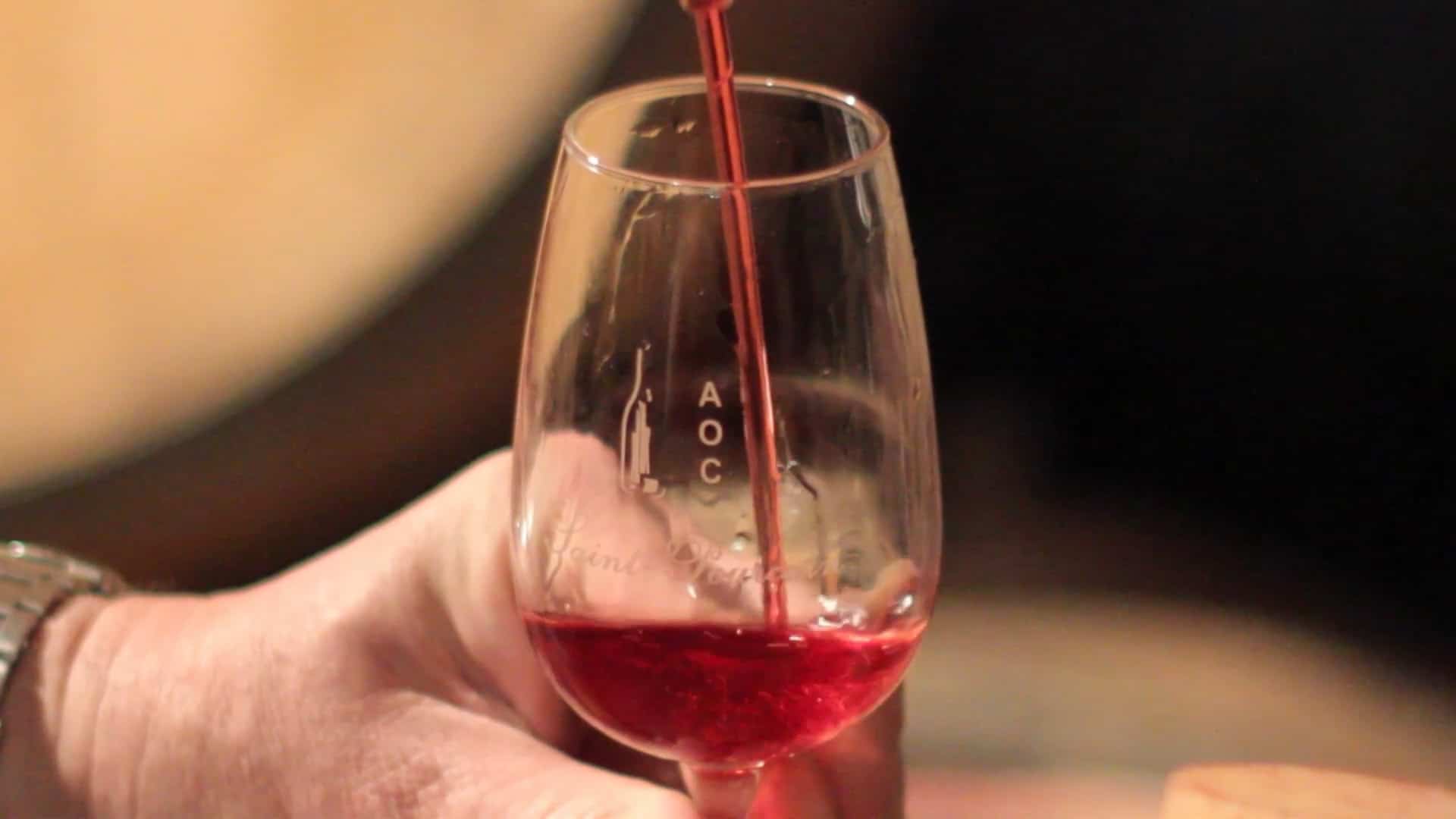 Quels plats servir avec les vins de Saint-Pourçain ?